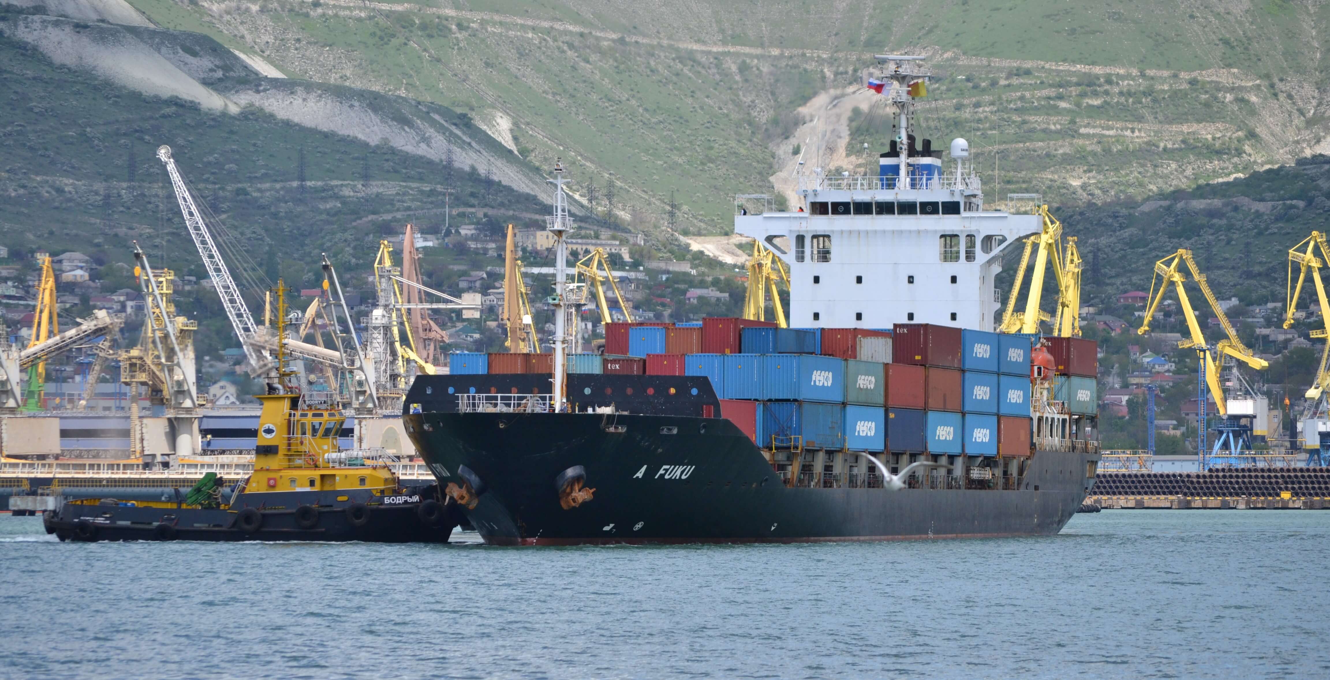 Cargo delivery via the port of Novorossiysk